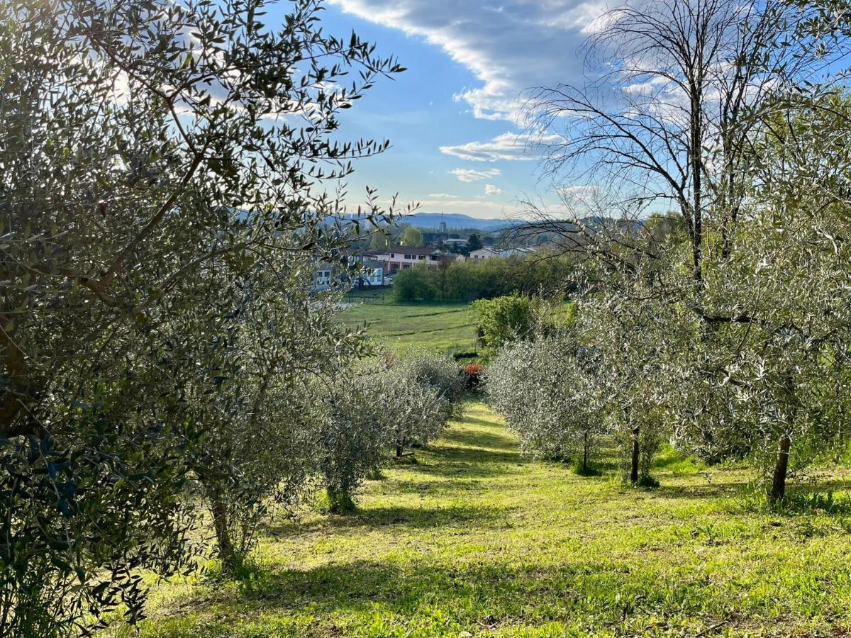 Il Nido Di Margherita San Giovanni Valdarno Dış mekan fotoğraf